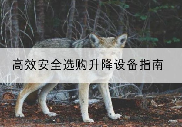万州区升降货梯厂家推荐-*安全选购升降设备指南