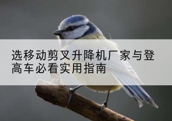 万州区电动升降机厂家-选移动剪叉升降机厂家与登高车必看实用指南